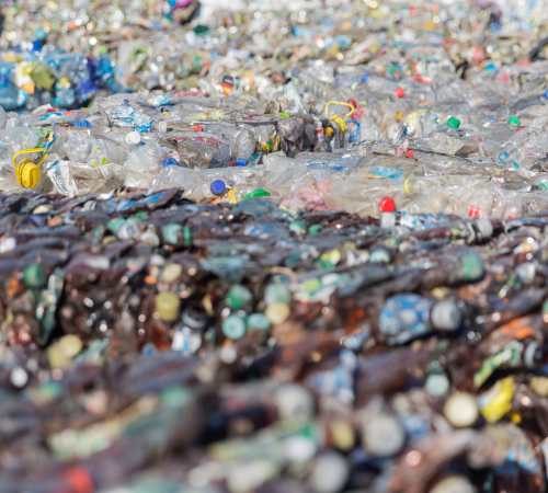 Bottled Water Isn’t the Solution, It’s the Problem​