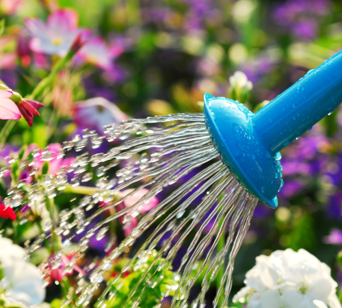 Garden Smarter, Not Harder