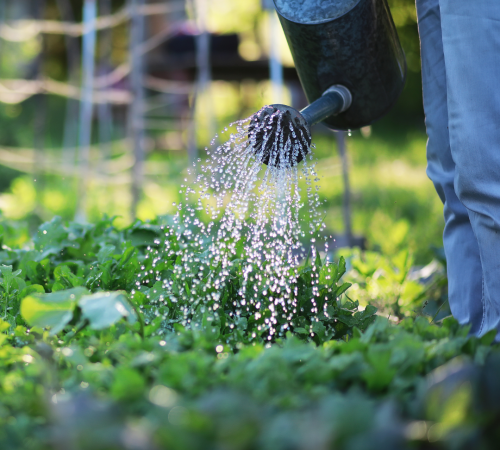 Good for Plants. Great for the Planet.