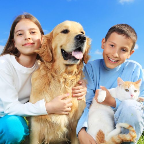 Water for Kids & Pets