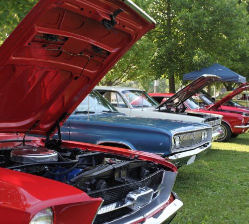 A Must for Collectors & Enthusiasts