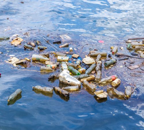 The True Cost Of Bottled Water