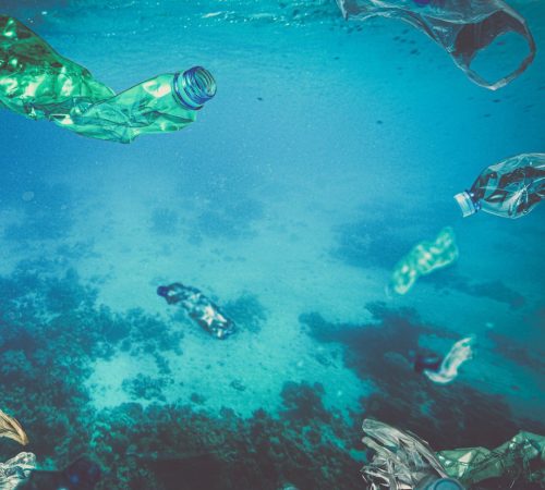 The Environmental Toll