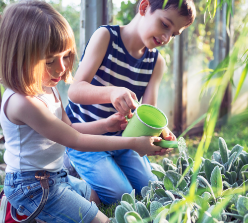 Watering Your Garden with Good Water