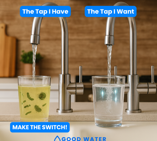 Why Reverse Osmosis is the Gold Standard