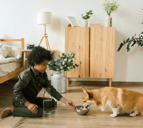 water for kids & pets